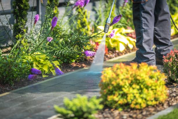 Trusted Lititz, PA Pressure Washing Services Experts